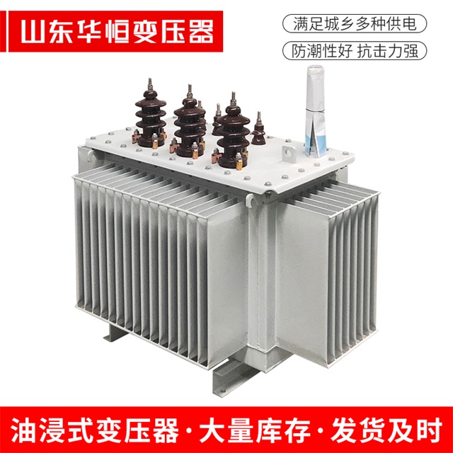 S13-10000/35色达色达色达油浸式变压器厂家